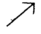 選項 C