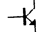 選項 B