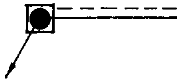 選項 C
