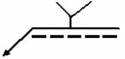 選項 B