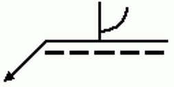 選項 C