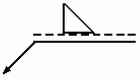 選項 C