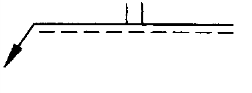選項 B
