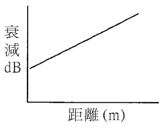 選項 B