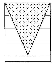 選項 B