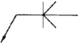 選項 D