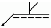 選項 A