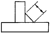 選項 C