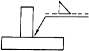 選項 B