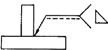 選項 D
