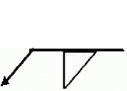選項 B