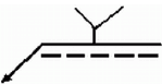 選項 B