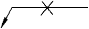 選項 D