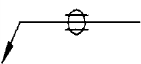 選項 C