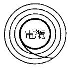 選項 C