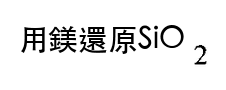 選項 B