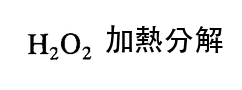 選項 B