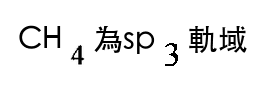 選項 B