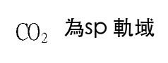 選項 C