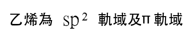 選項 D
