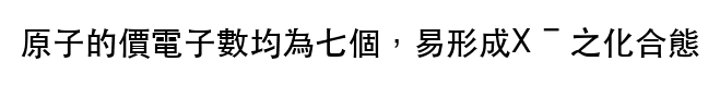 選項 B