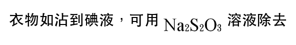 選項 B