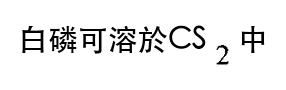 選項 B
