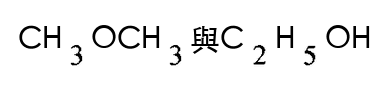 選項 D