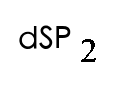 選項 D