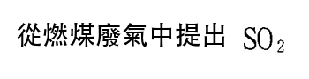 選項 C