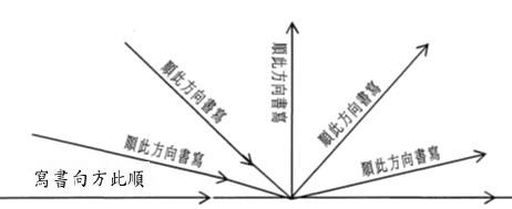 選項 C