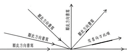 選項 D