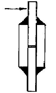 選項 C