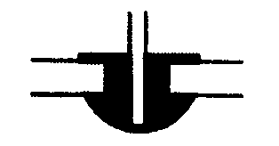 選項 B