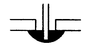 選項 C
