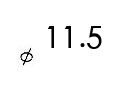 選項 C