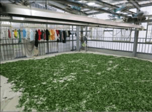 題目圖片