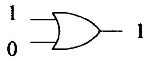 選項 C