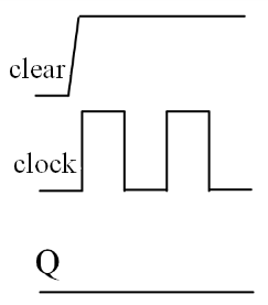 選項 C