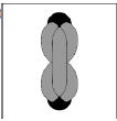 選項 A