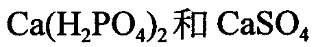選項 A