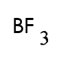 選項 C