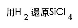 選項 C
