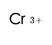 選項 C