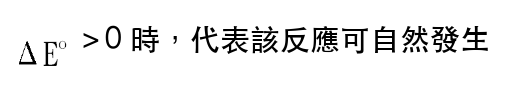選項 D