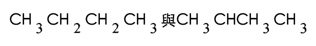 選項 B