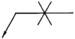 選項 D
