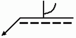 選項 C