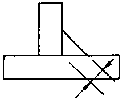選項 C