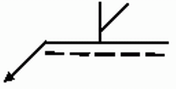 選項 C